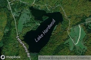 Lake Hardwood