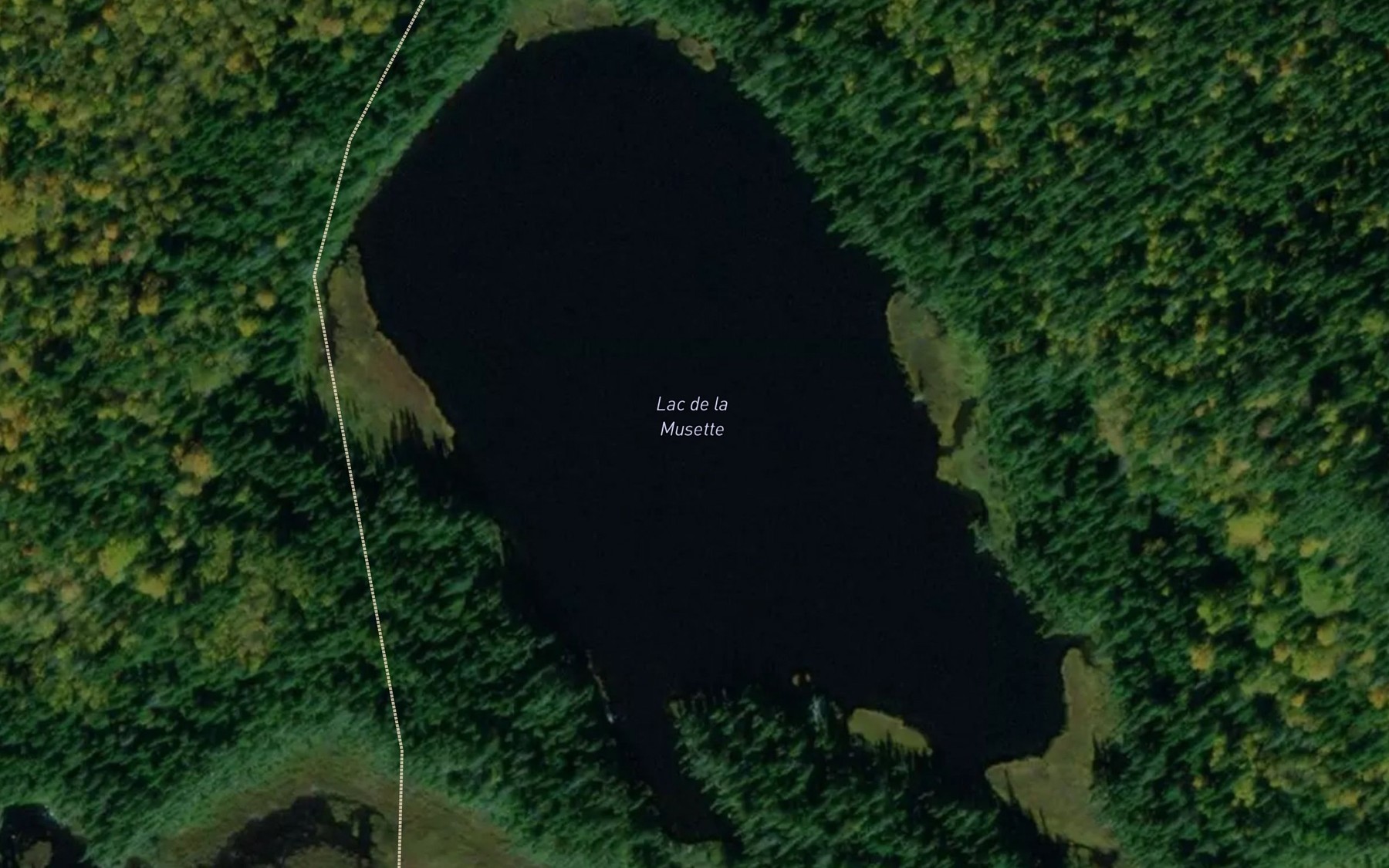 Satellite map of the Lac de la Musette