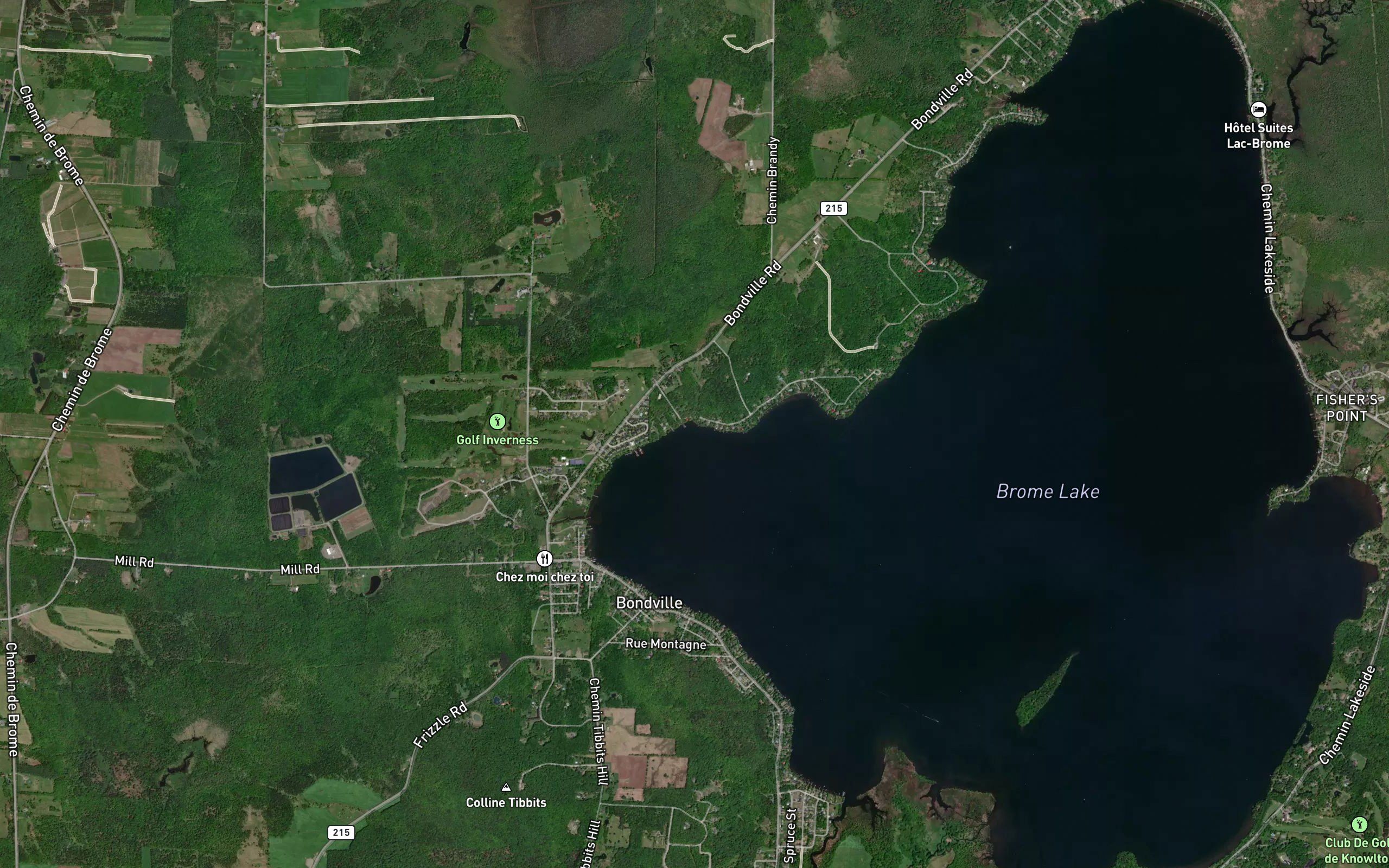 Baie Cedar