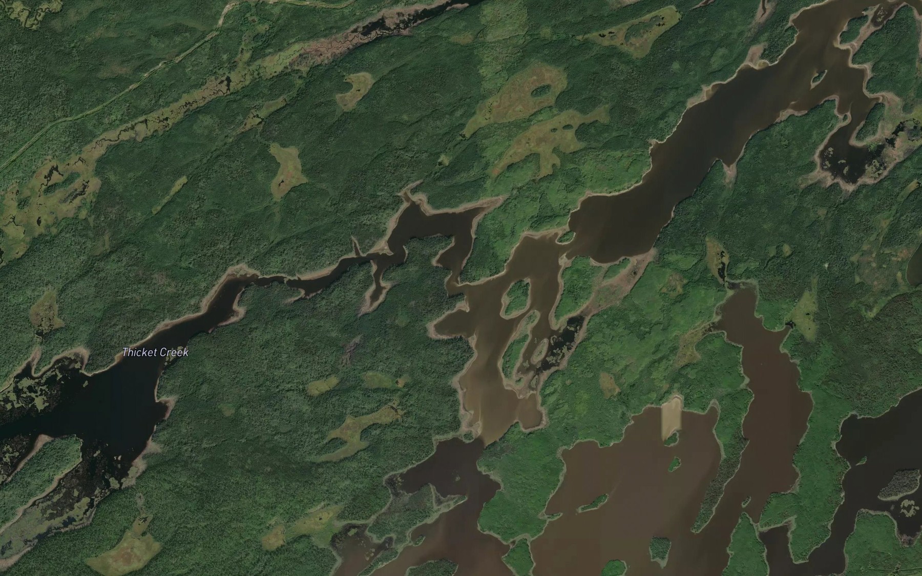 Satellite map of the Thicket Creek