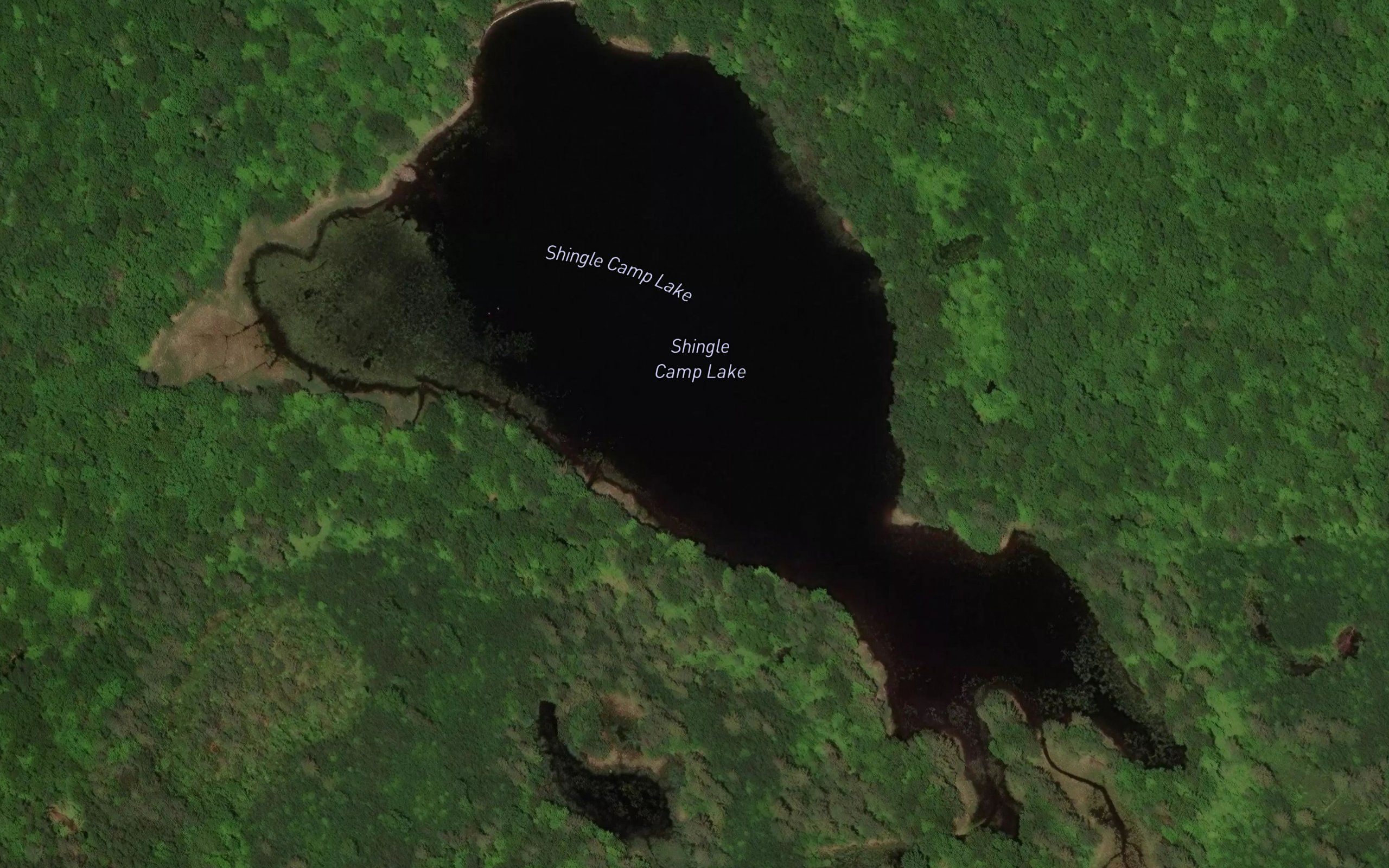 Shingle Camp Lake