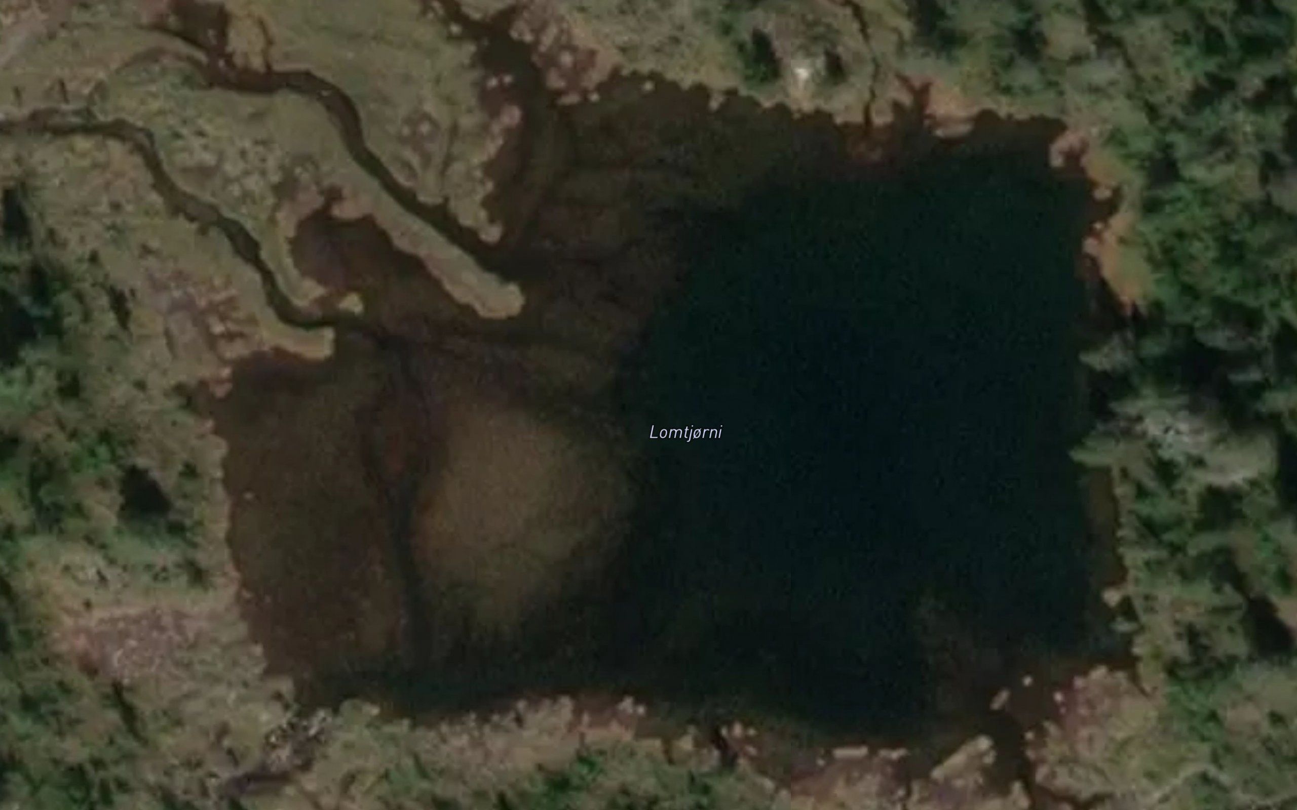 Lomtjorni