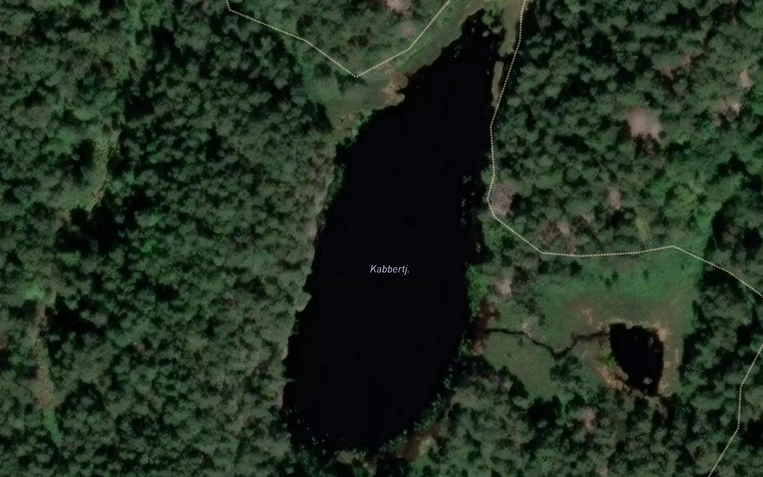 Kobbartjorn