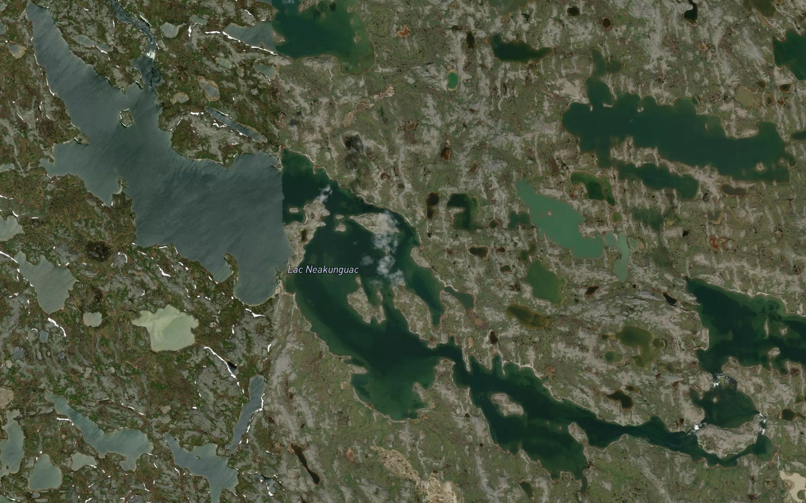 Lac Neakunguac