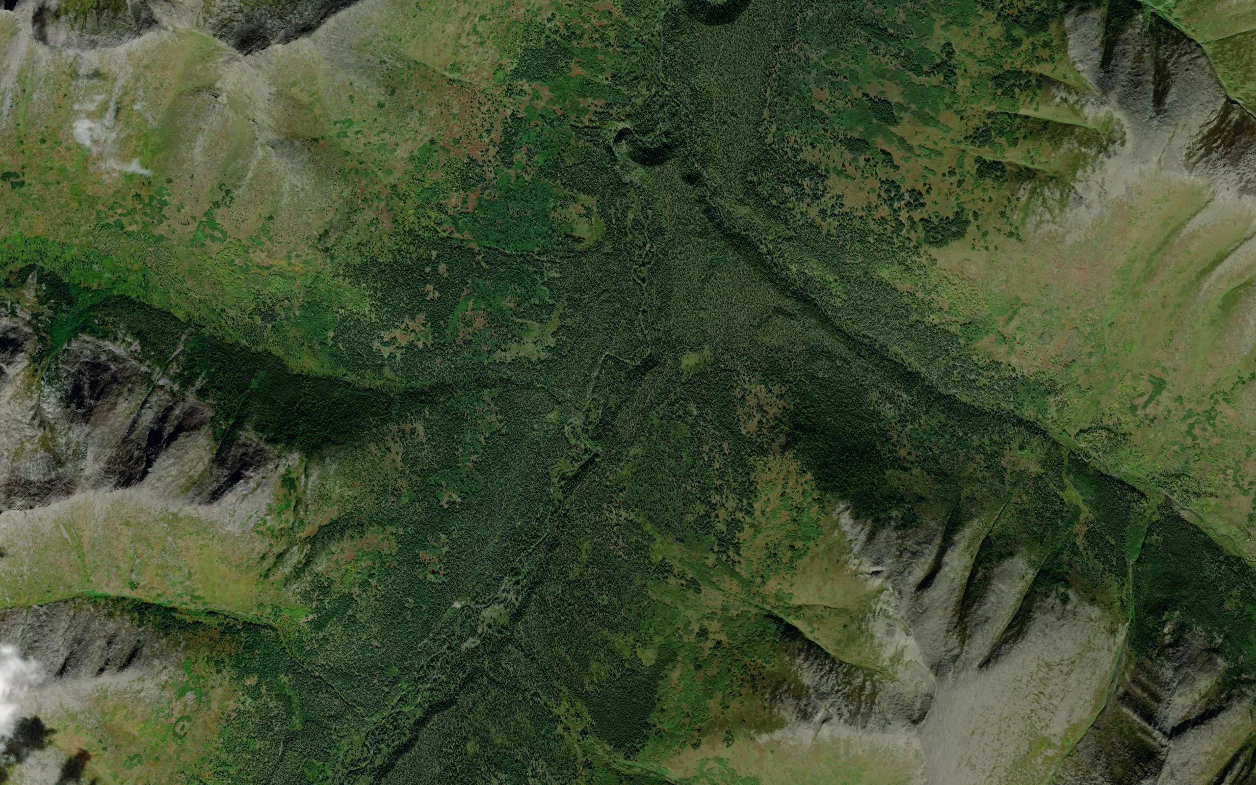 Moose Creek