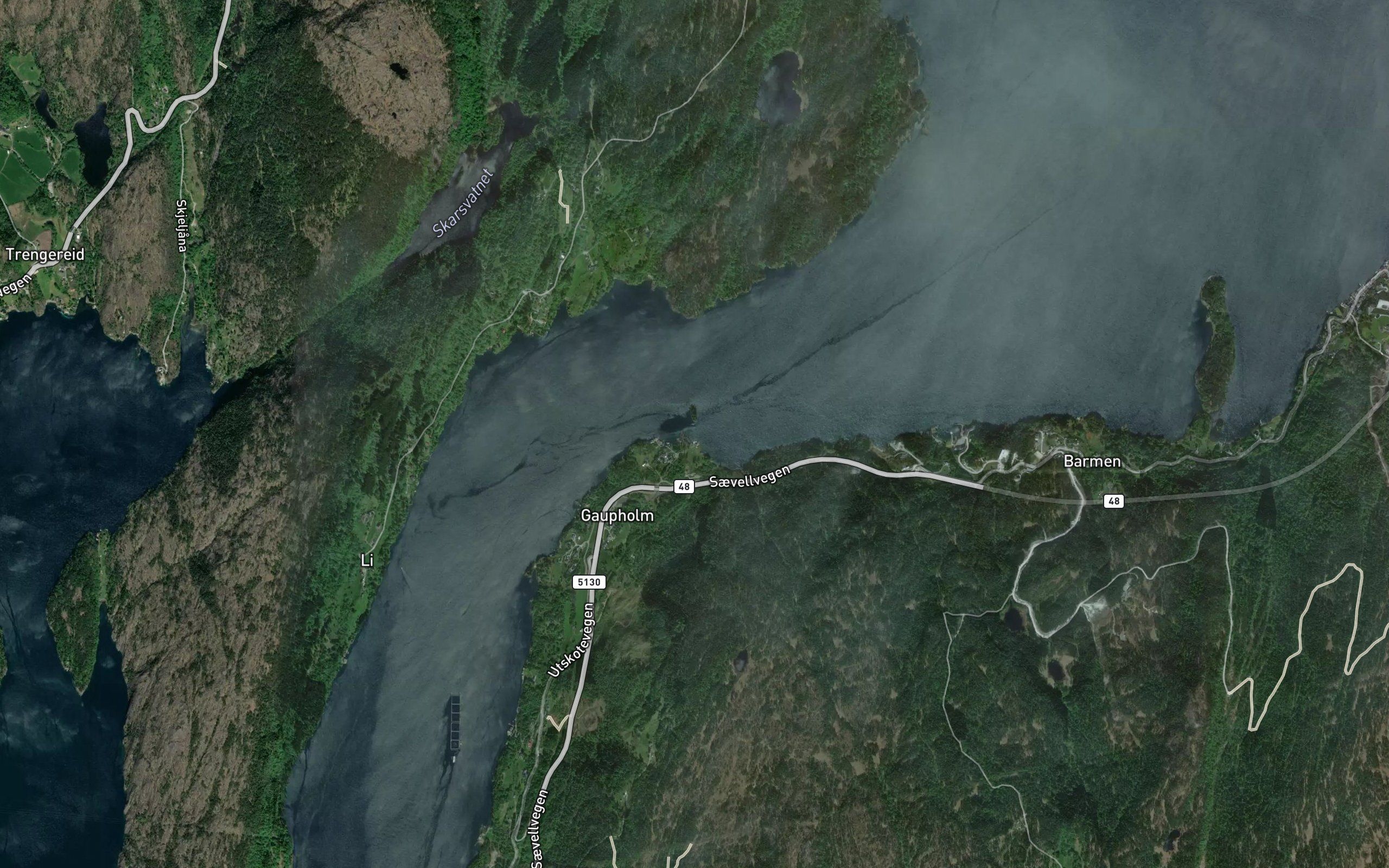 Traesvika
