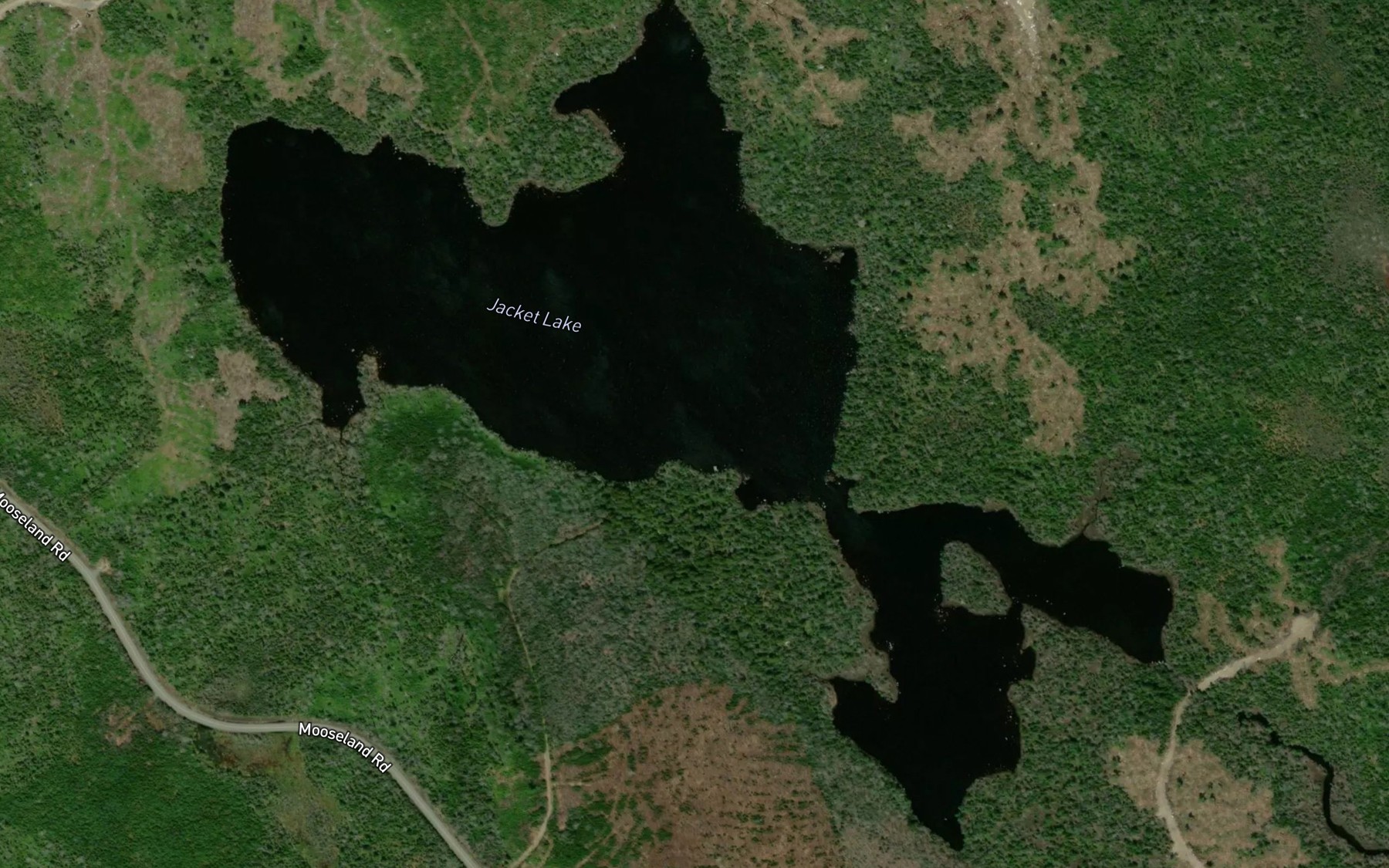 Satellite map of the Jacket Lake