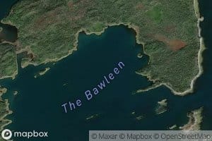 The Bawleen