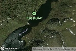 Saltaja