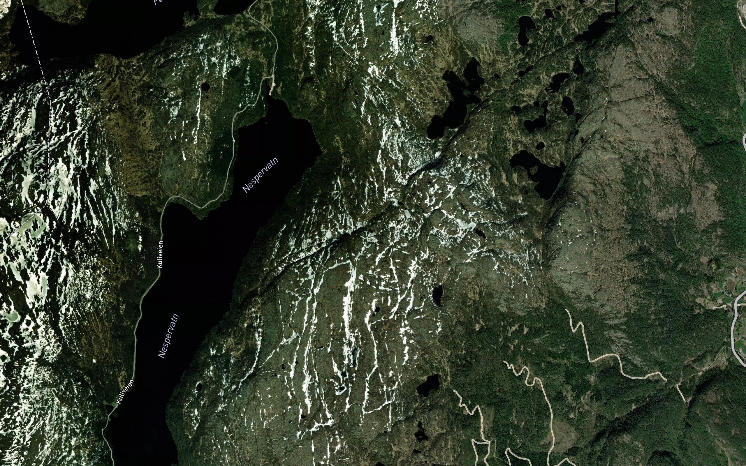 Ormetjonn