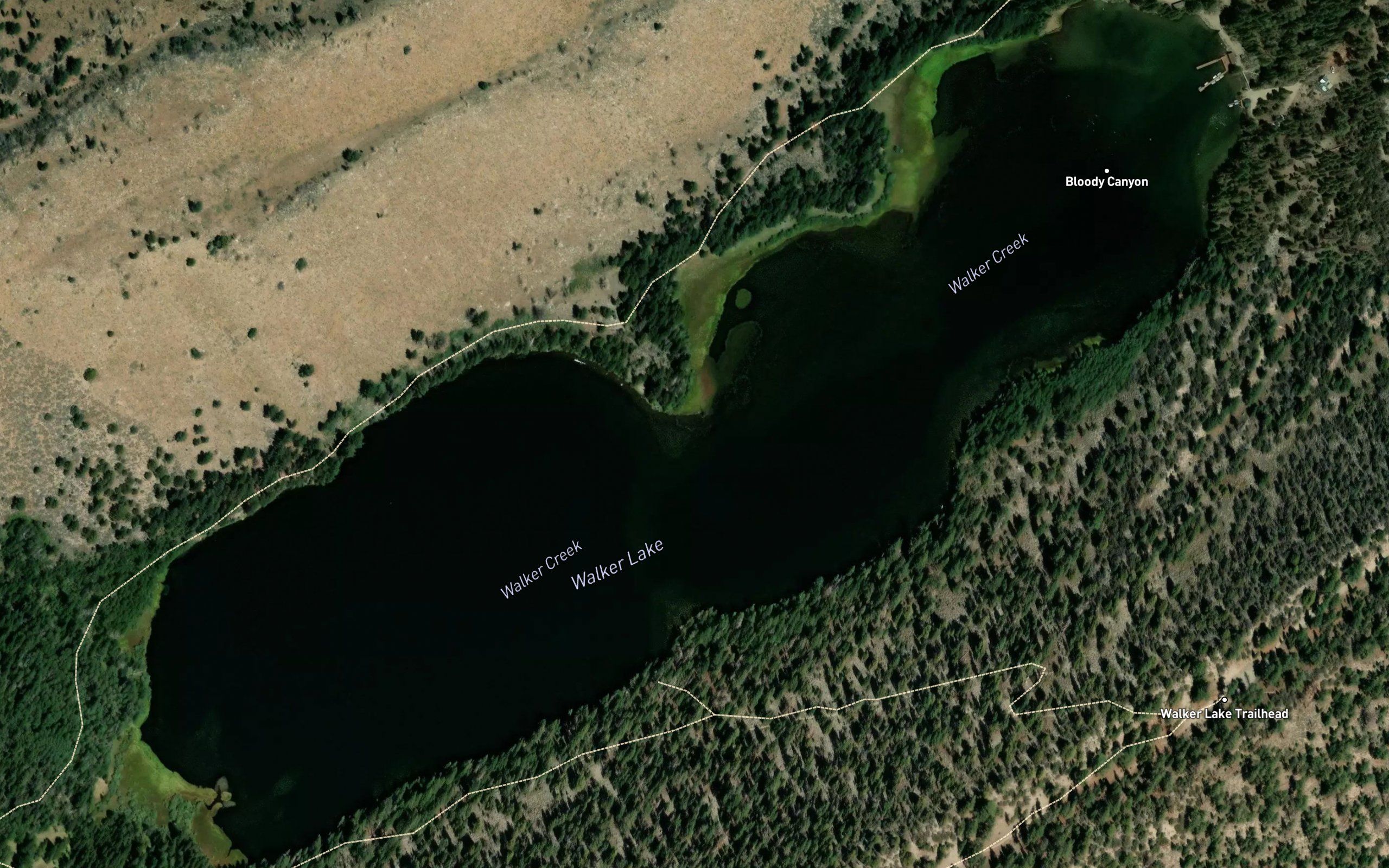 Walker Lake