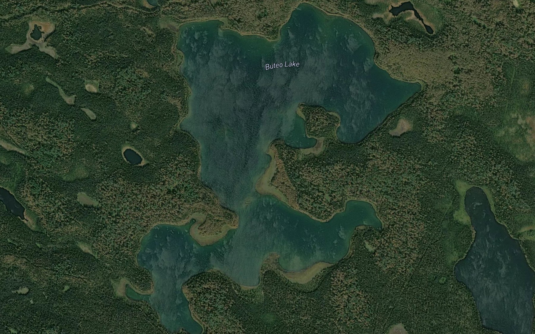 Satellite map of the Buteo Lake