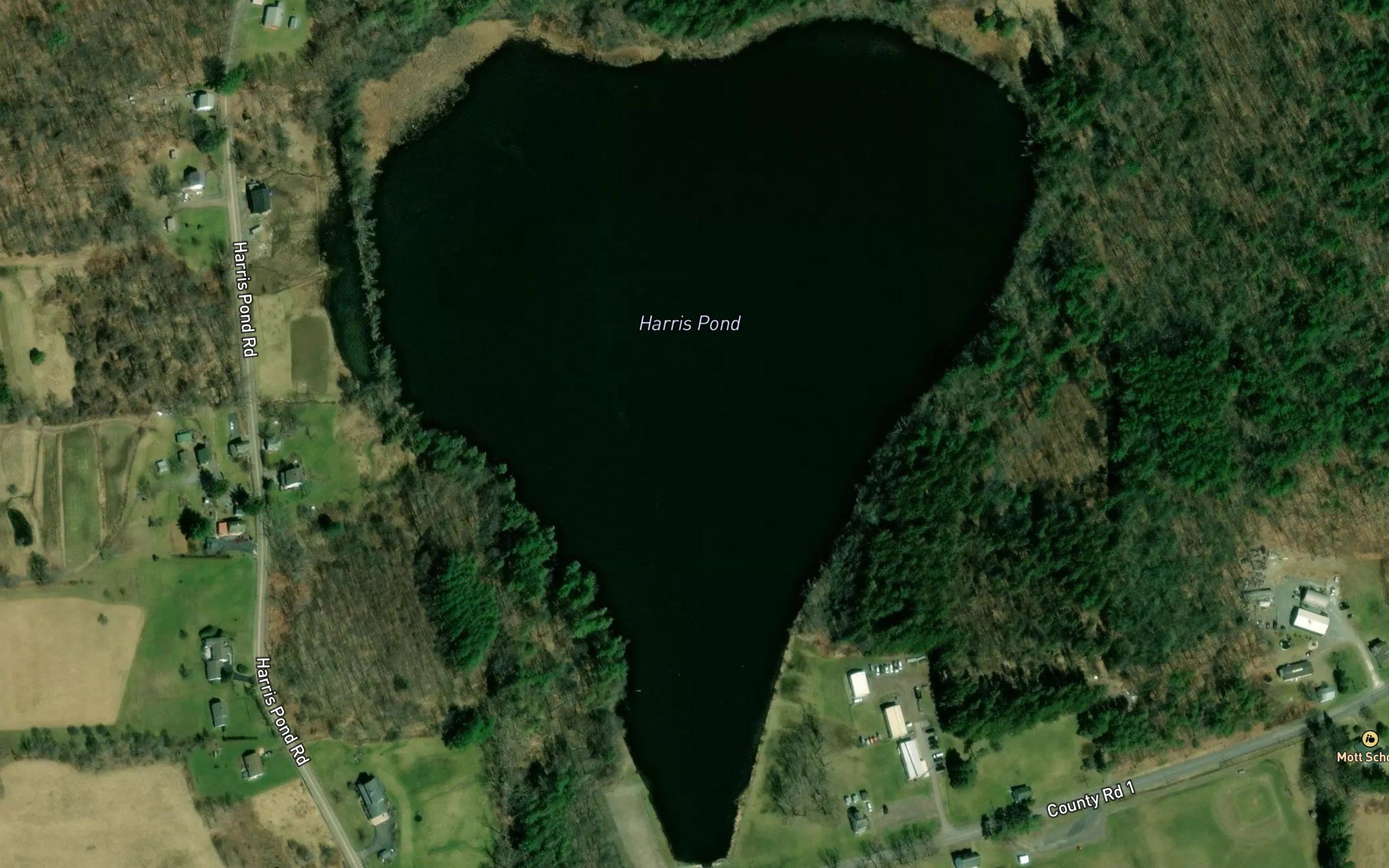 Harris Pond