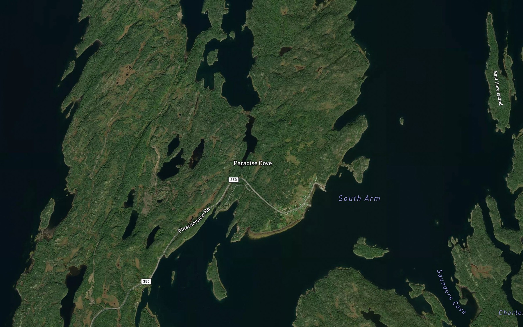 Satellite map of the Little Arm Pond