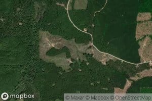 Dancing Rabbit Springs