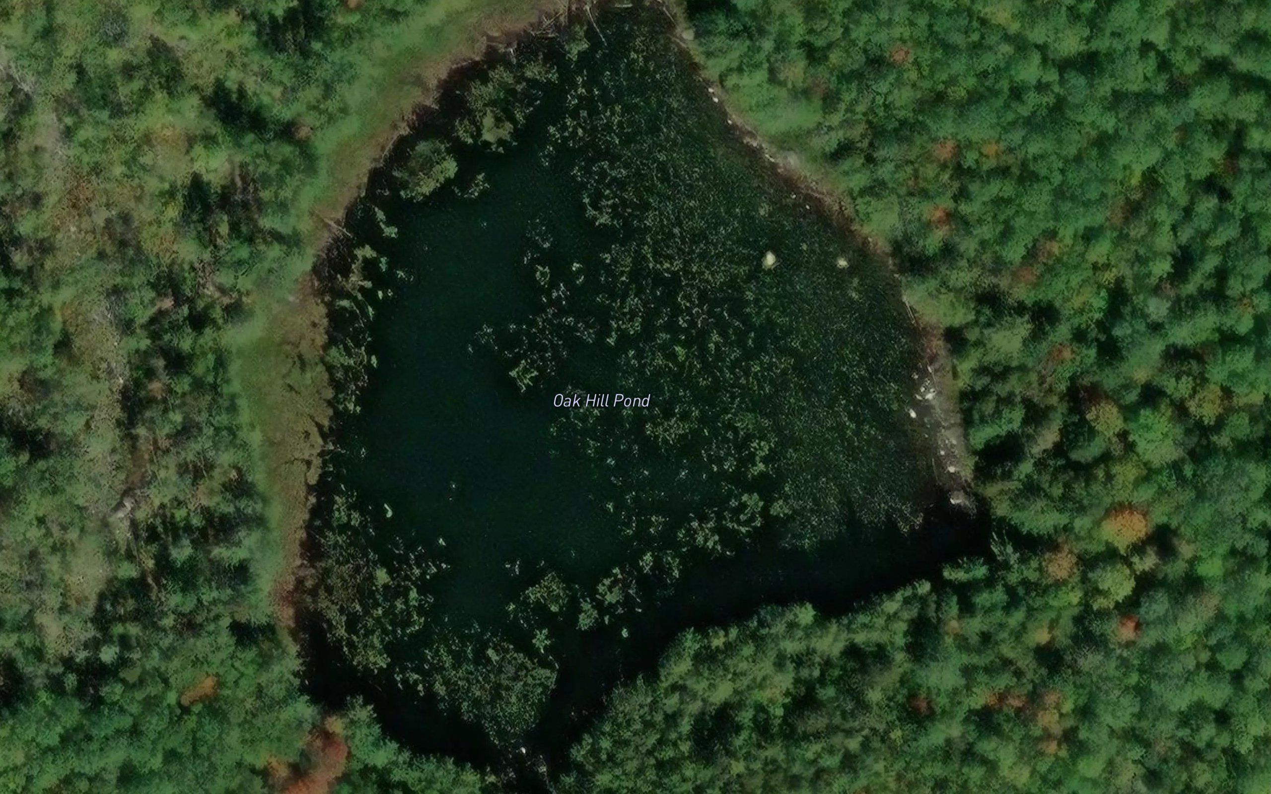 Oak Hill Pond