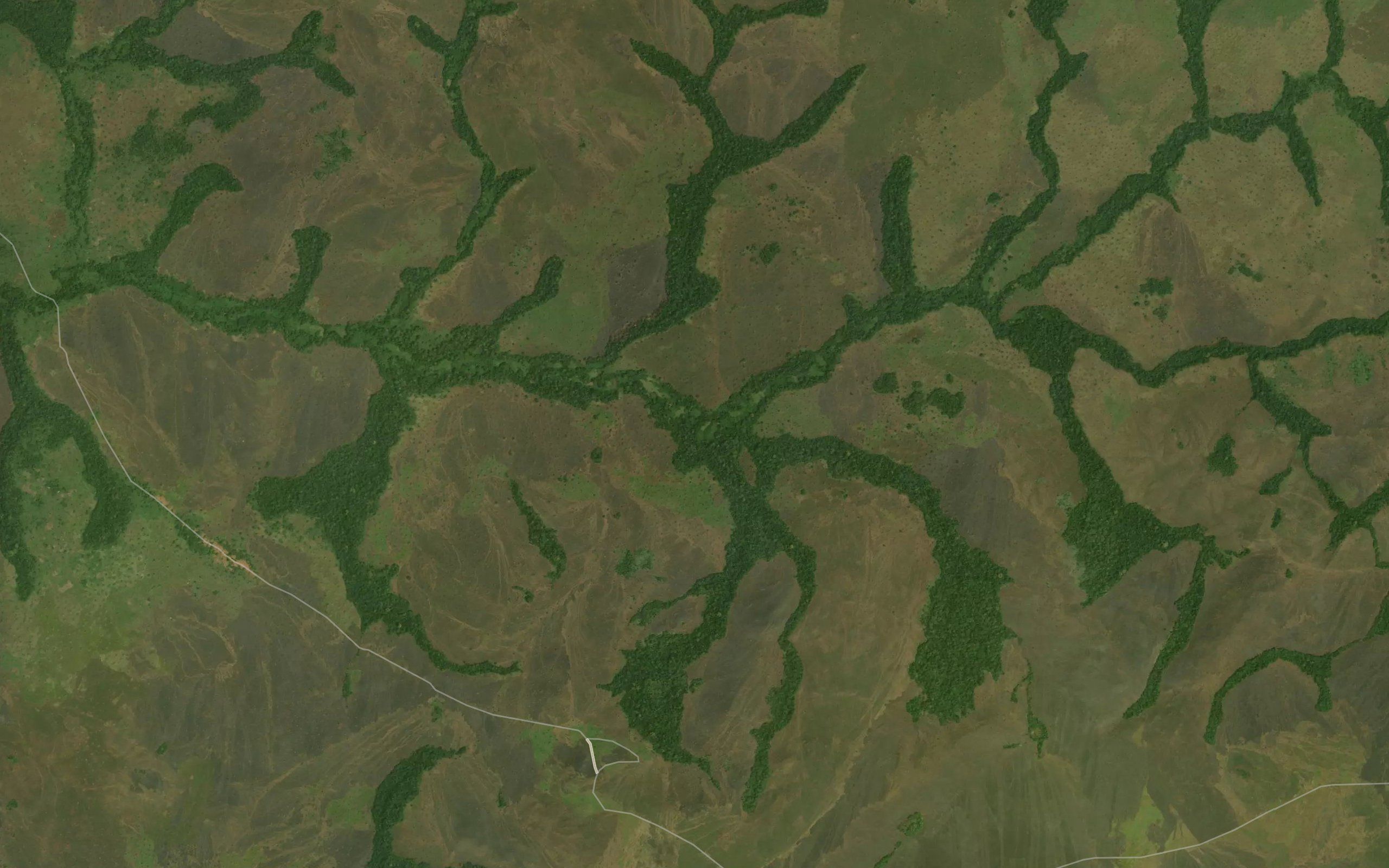 Kwakala
