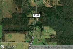 Moss Springs