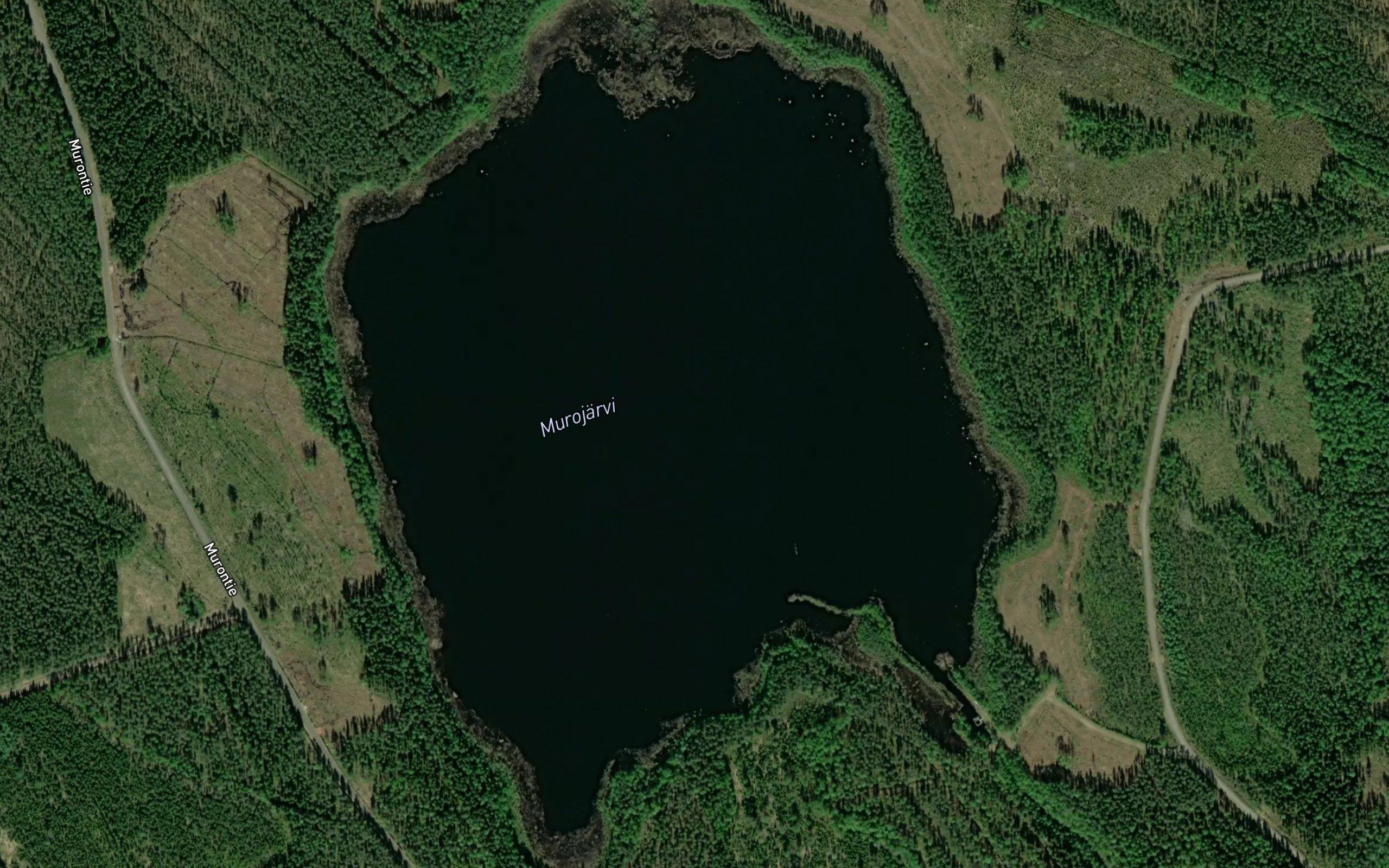 Murojarvi