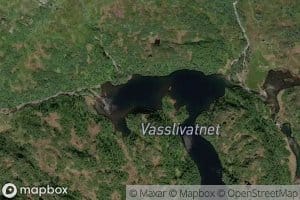 Vasslivatnet
