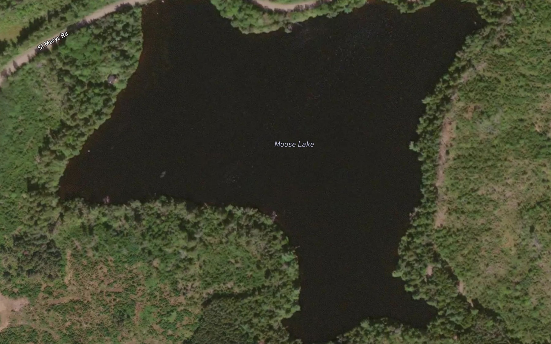 Satellite map of the Moose Lake