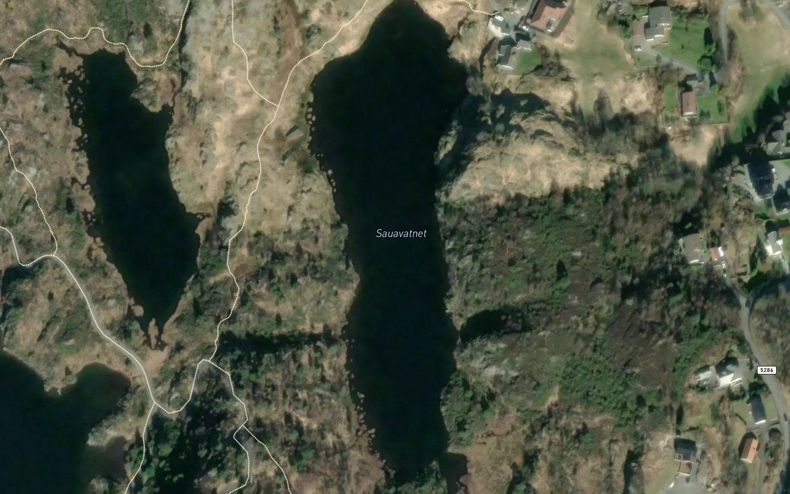 Sauavatnet