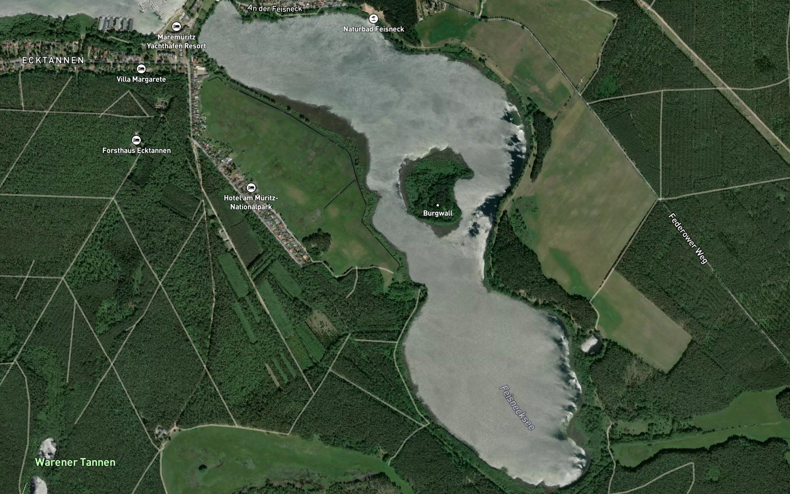 Feisnecksee