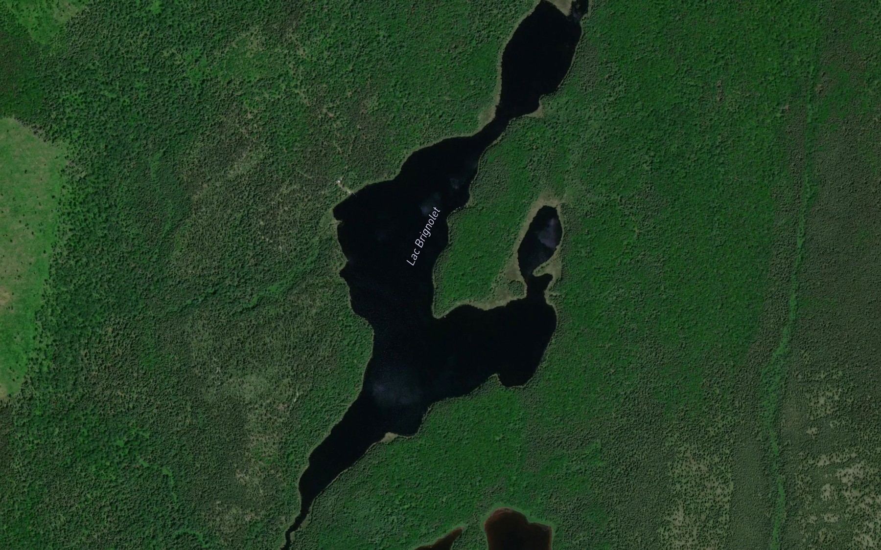 Satellite map of the Lac Brignolet
