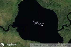 Pyorea
