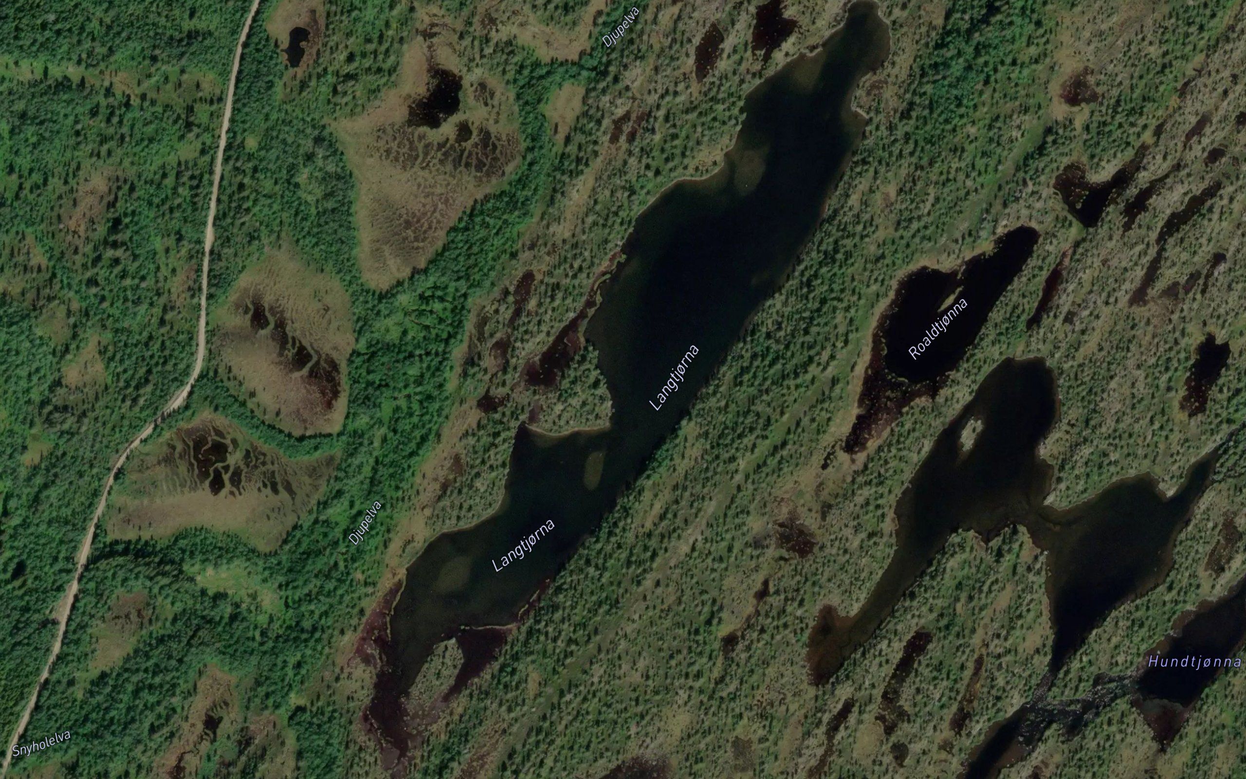 Langtjonna