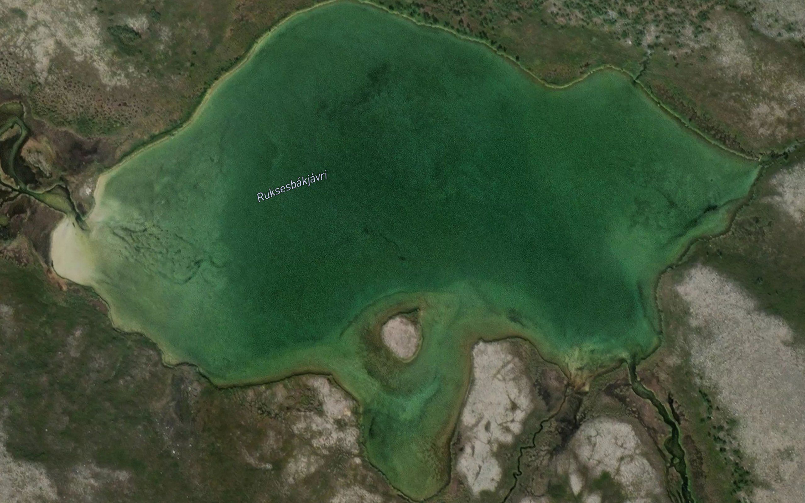 Ruksesbakjavri