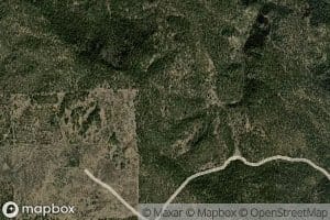 Section Twentyseven Spring