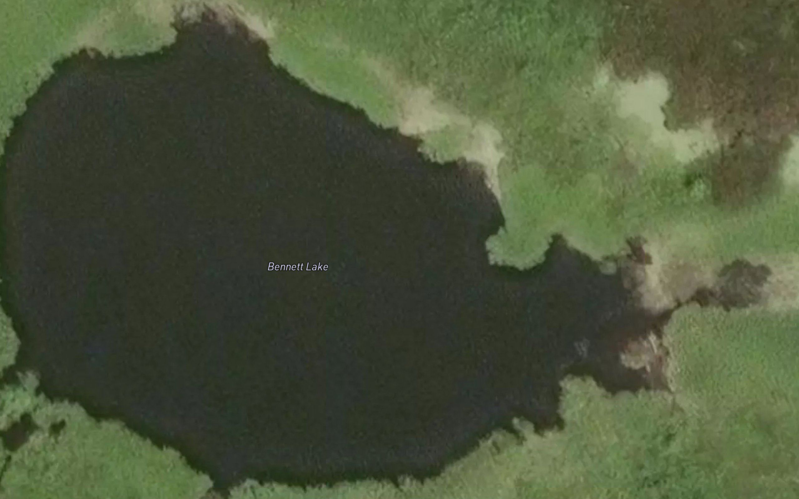 Bennett Lake