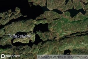 Tollakstjorn