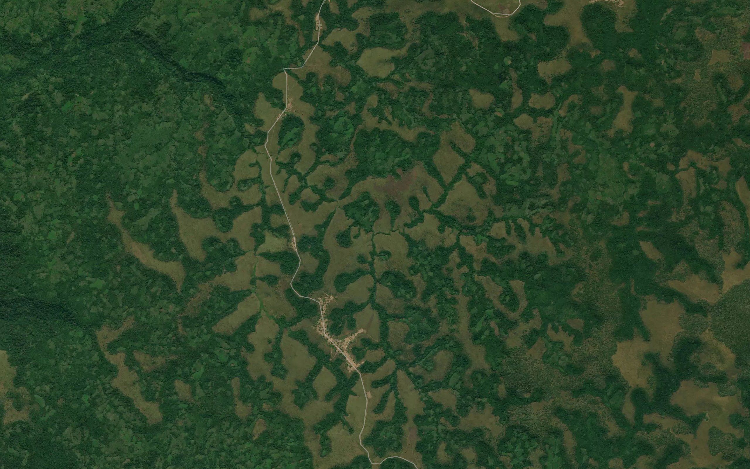 Macassa