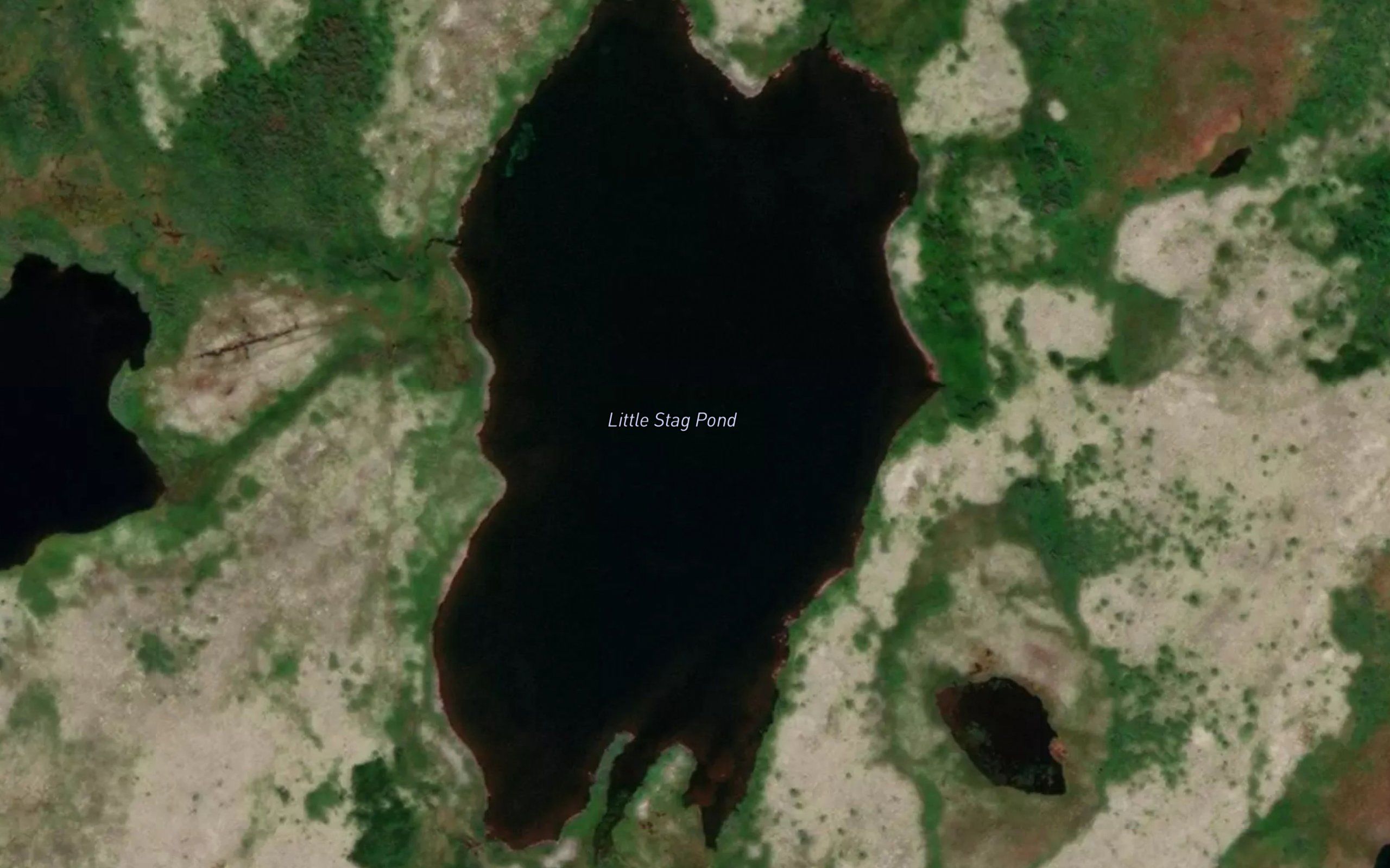 Little Stag Pond