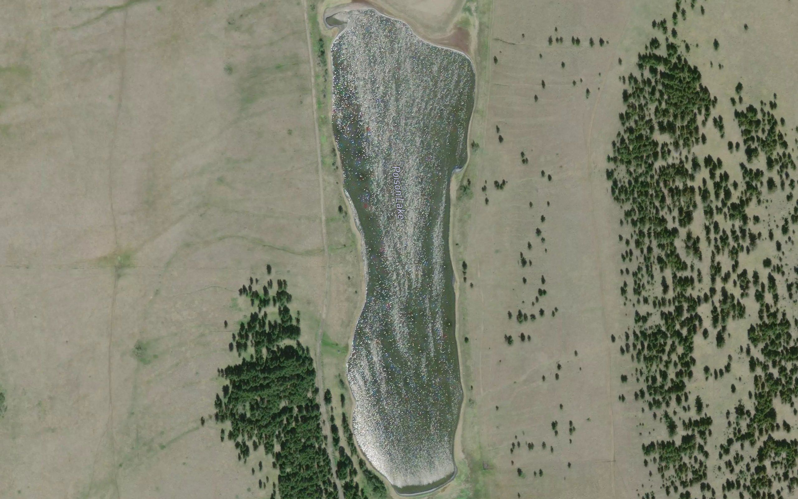 Poison Lake