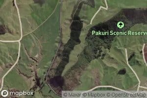 Te Awataniwha Stream