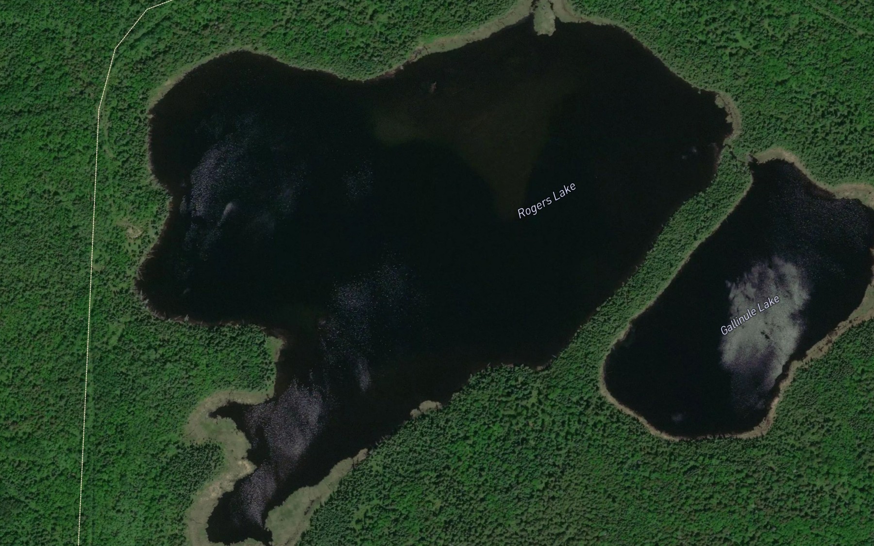 Satellite map of the Rogers Lake
