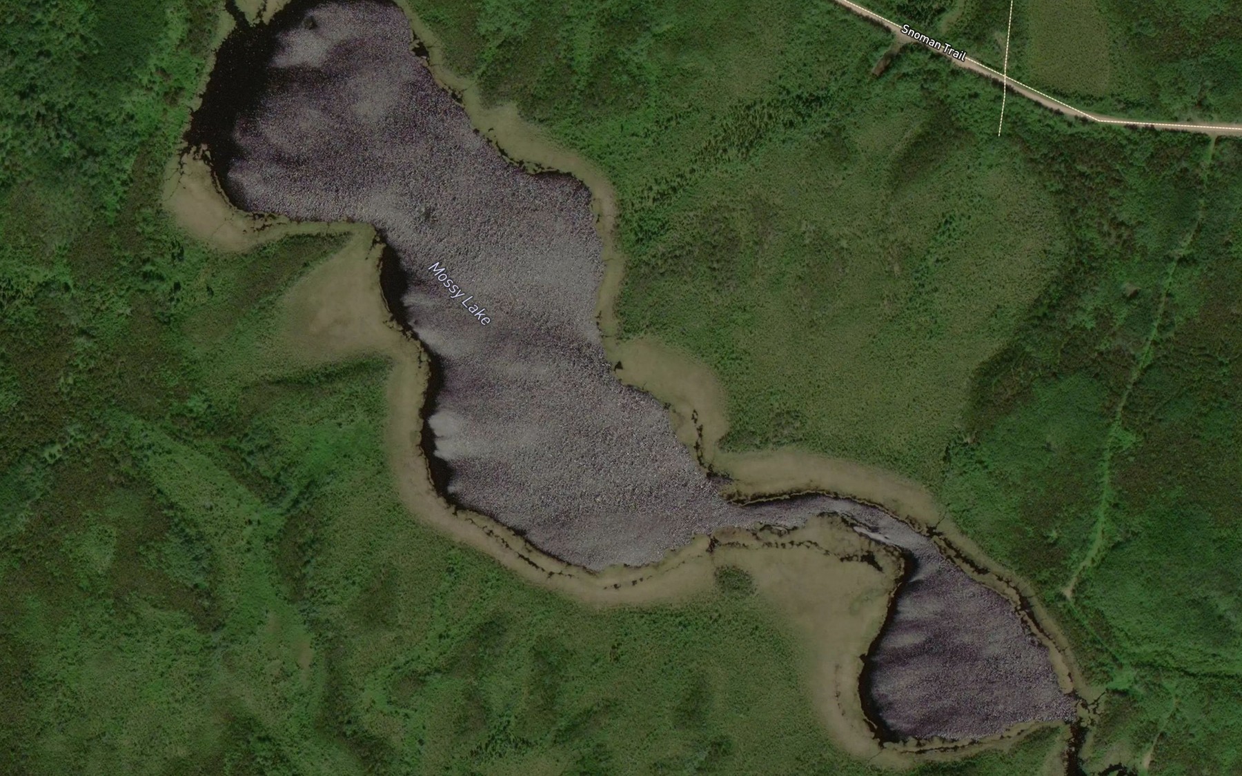 Satellite map of the Mossy Lake