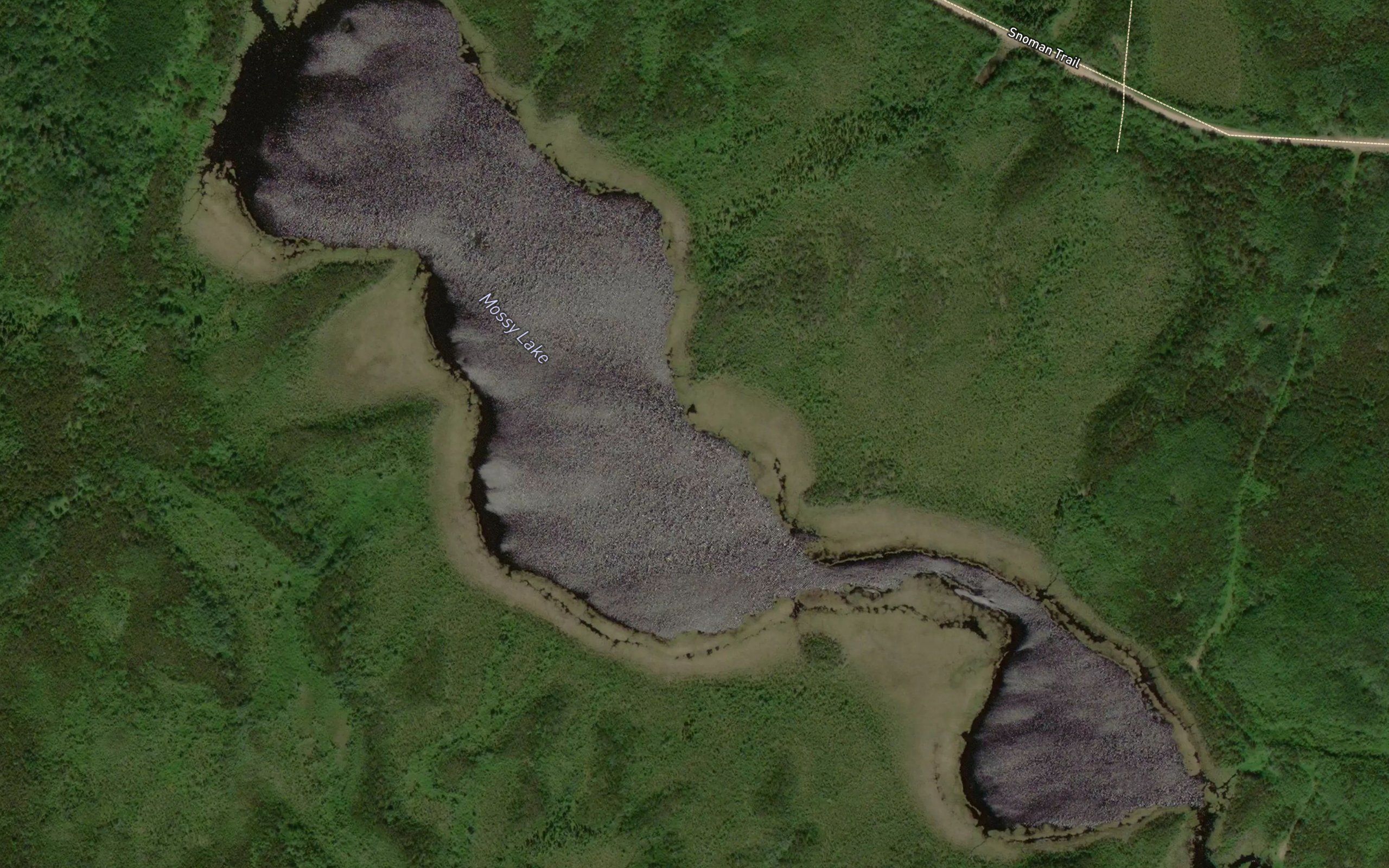Mossy Lake