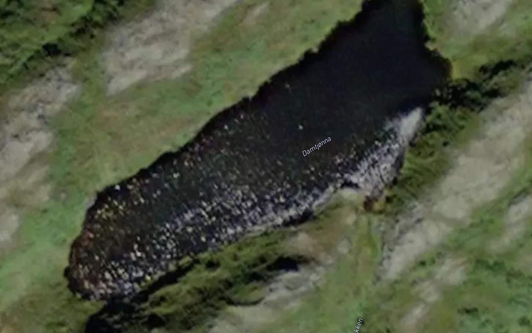 Satellite map of the Damtjonna