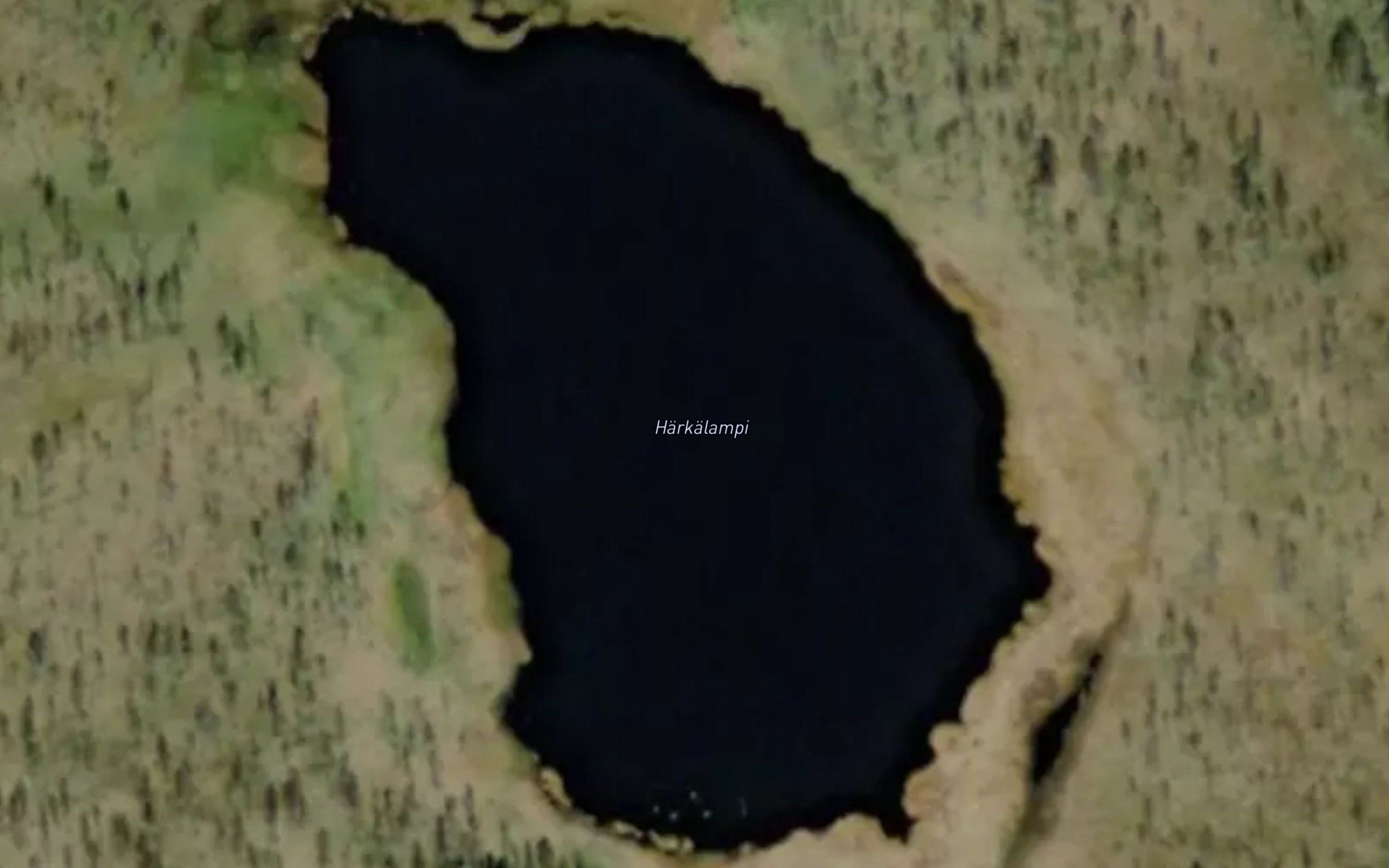 Harkalampi