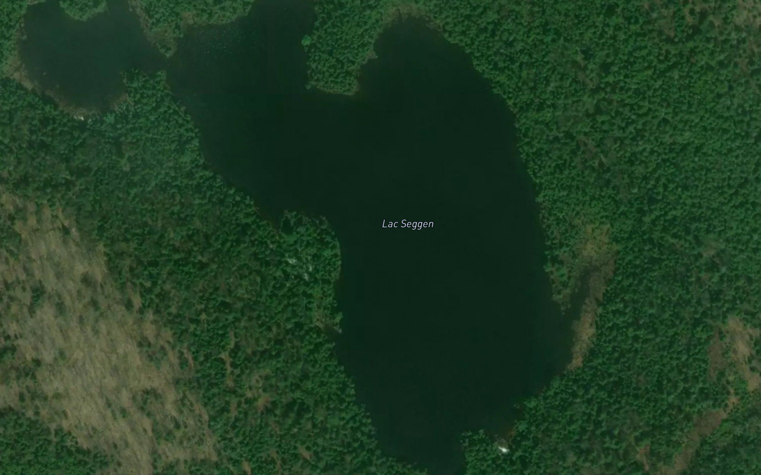 Lac Seggen