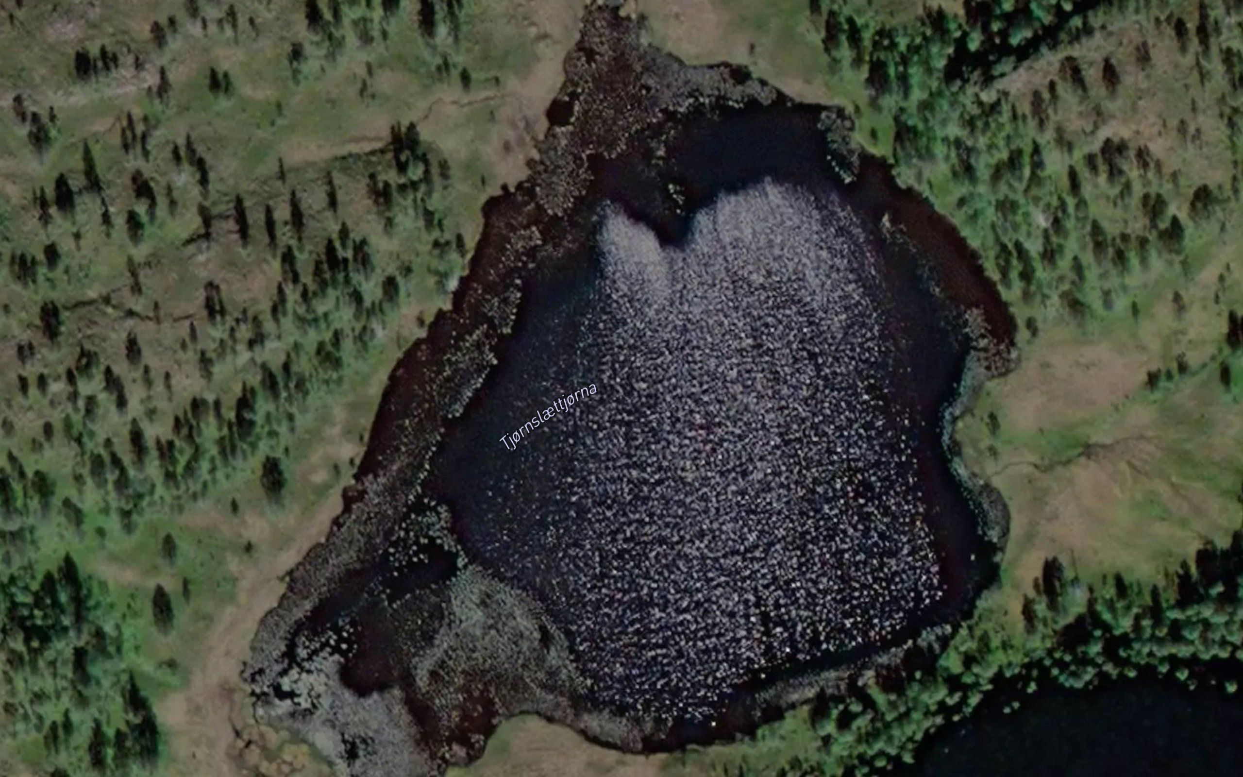 Tjornslaettjorna