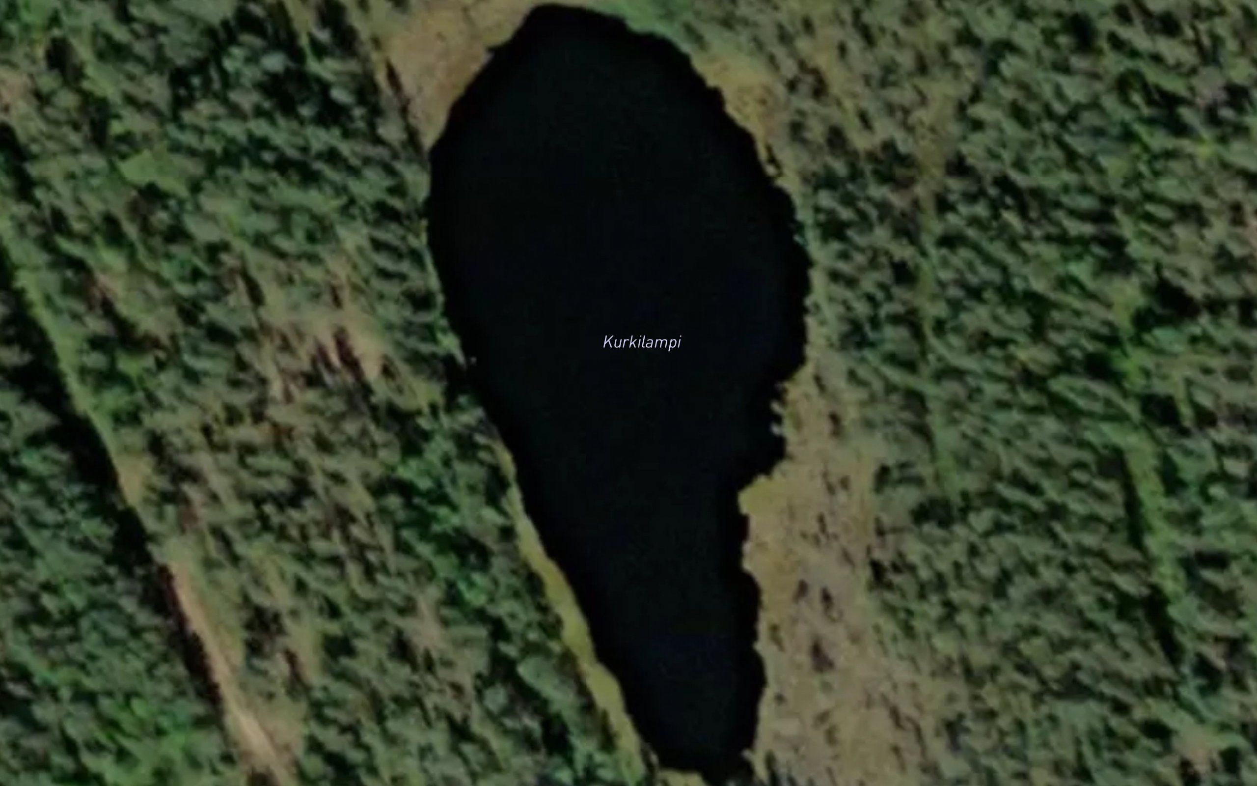 Kurkilampi