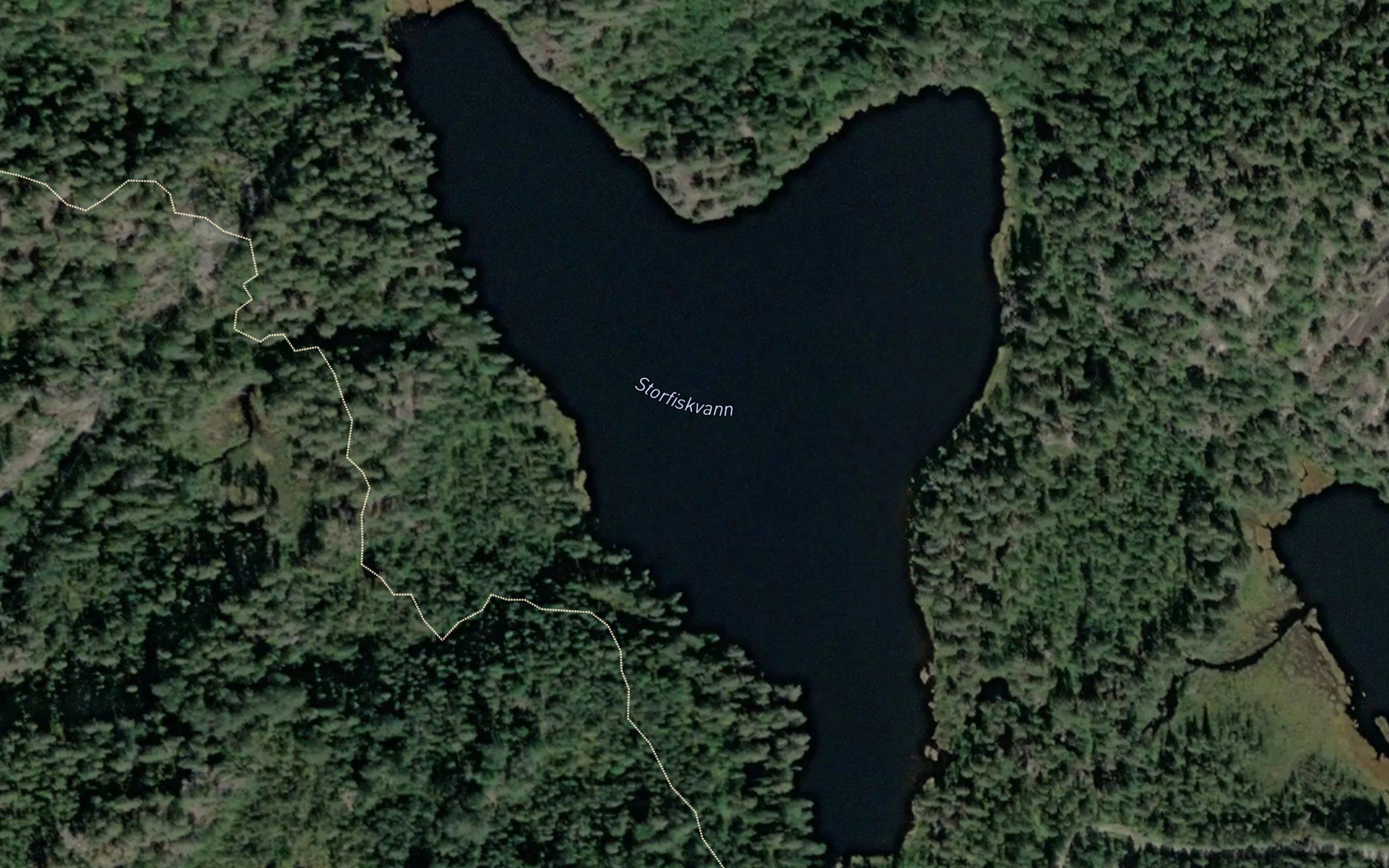 Storfiskvann