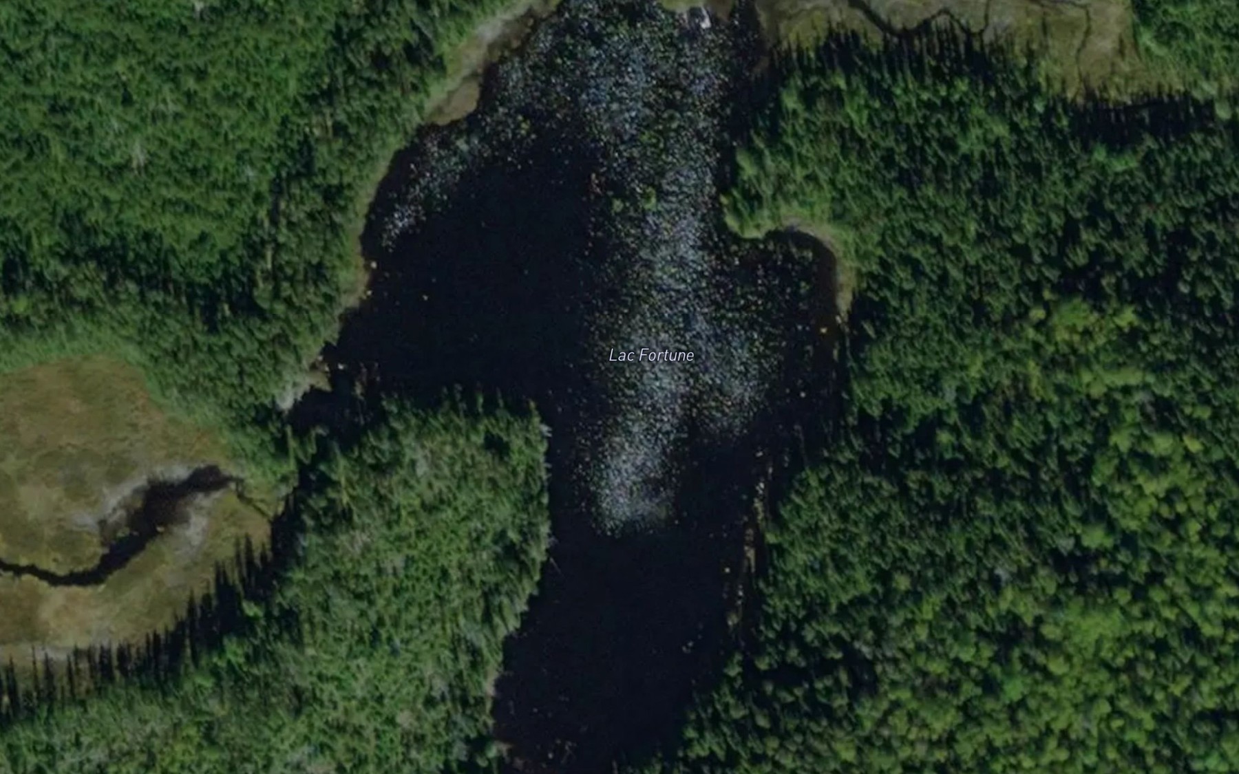 Satellite map of the Lac Fortune