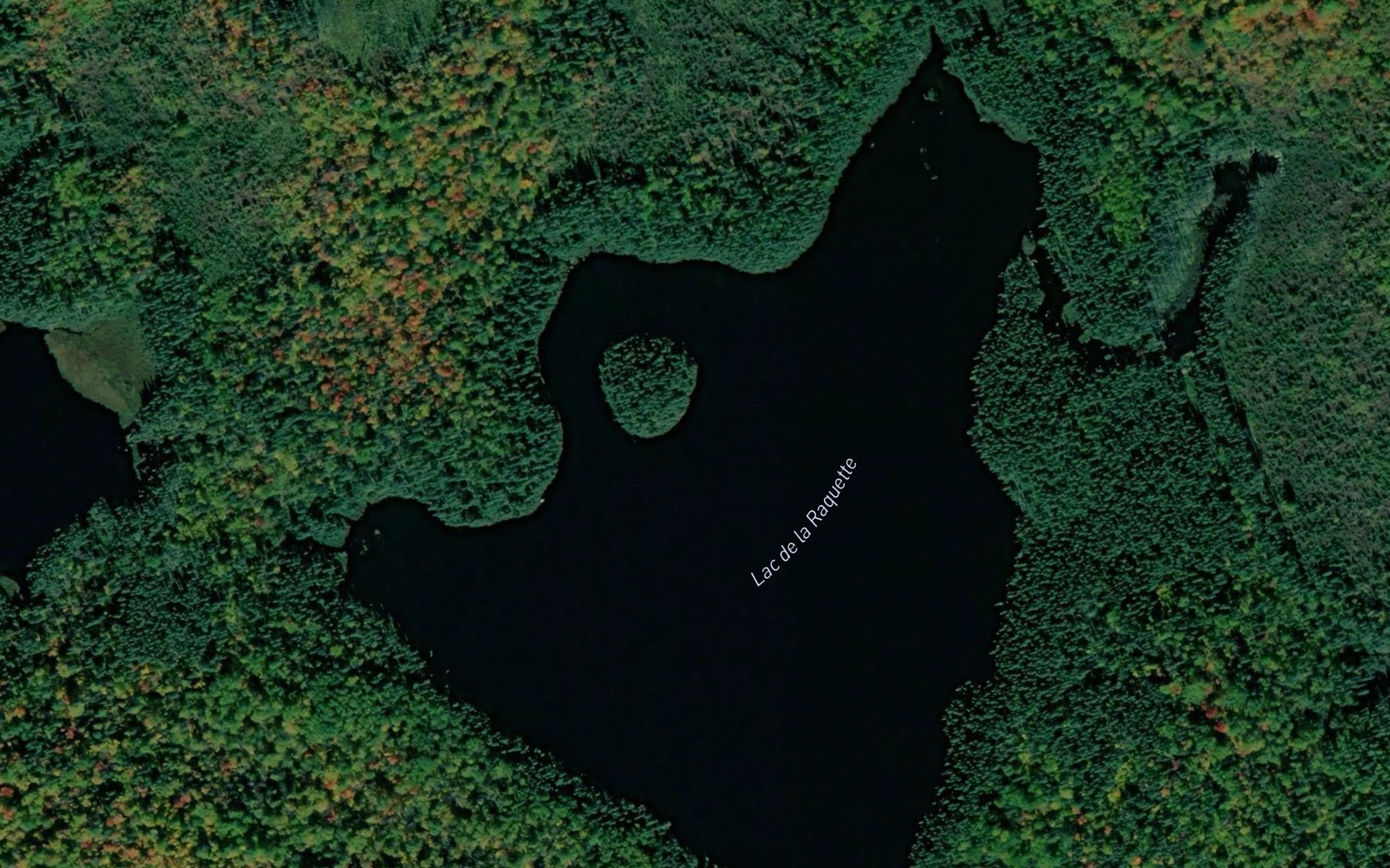 Satellite map of the Lac de la Raquette