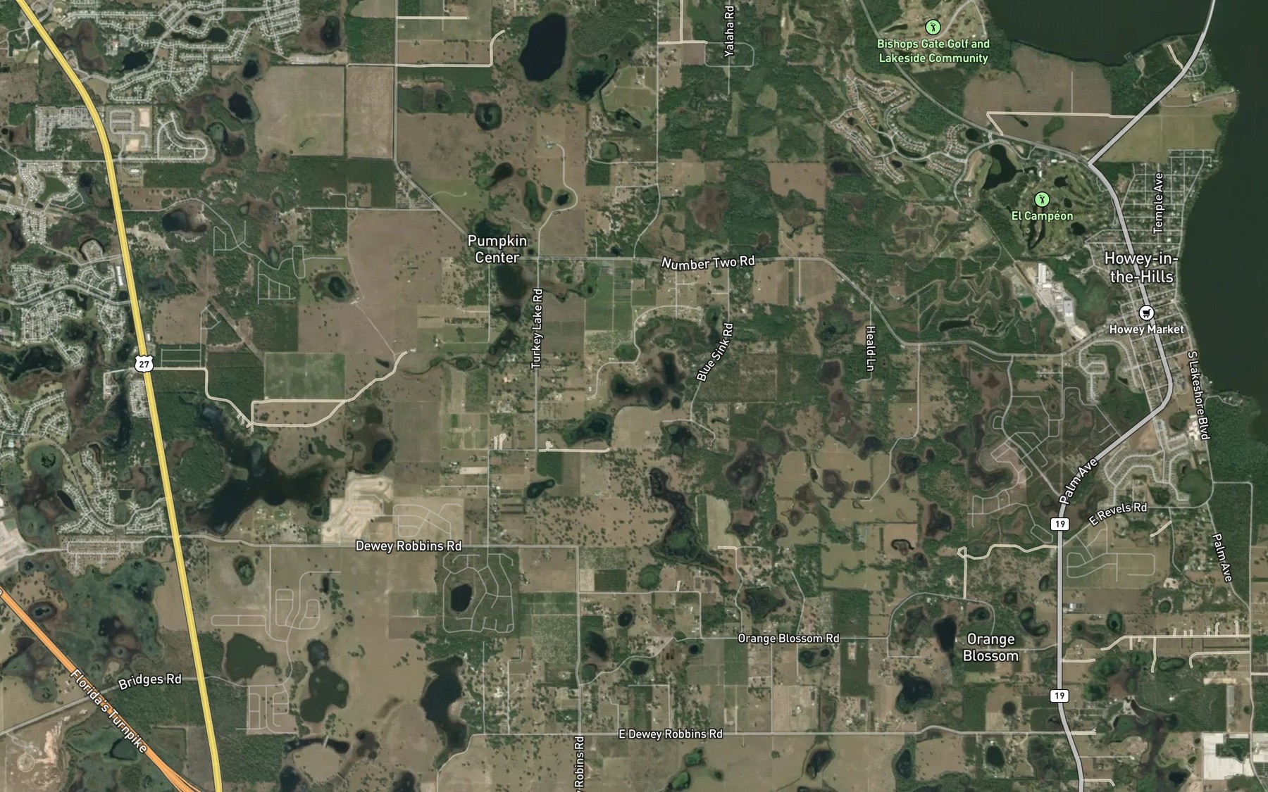 Satellite map of the Blue Spring Lake